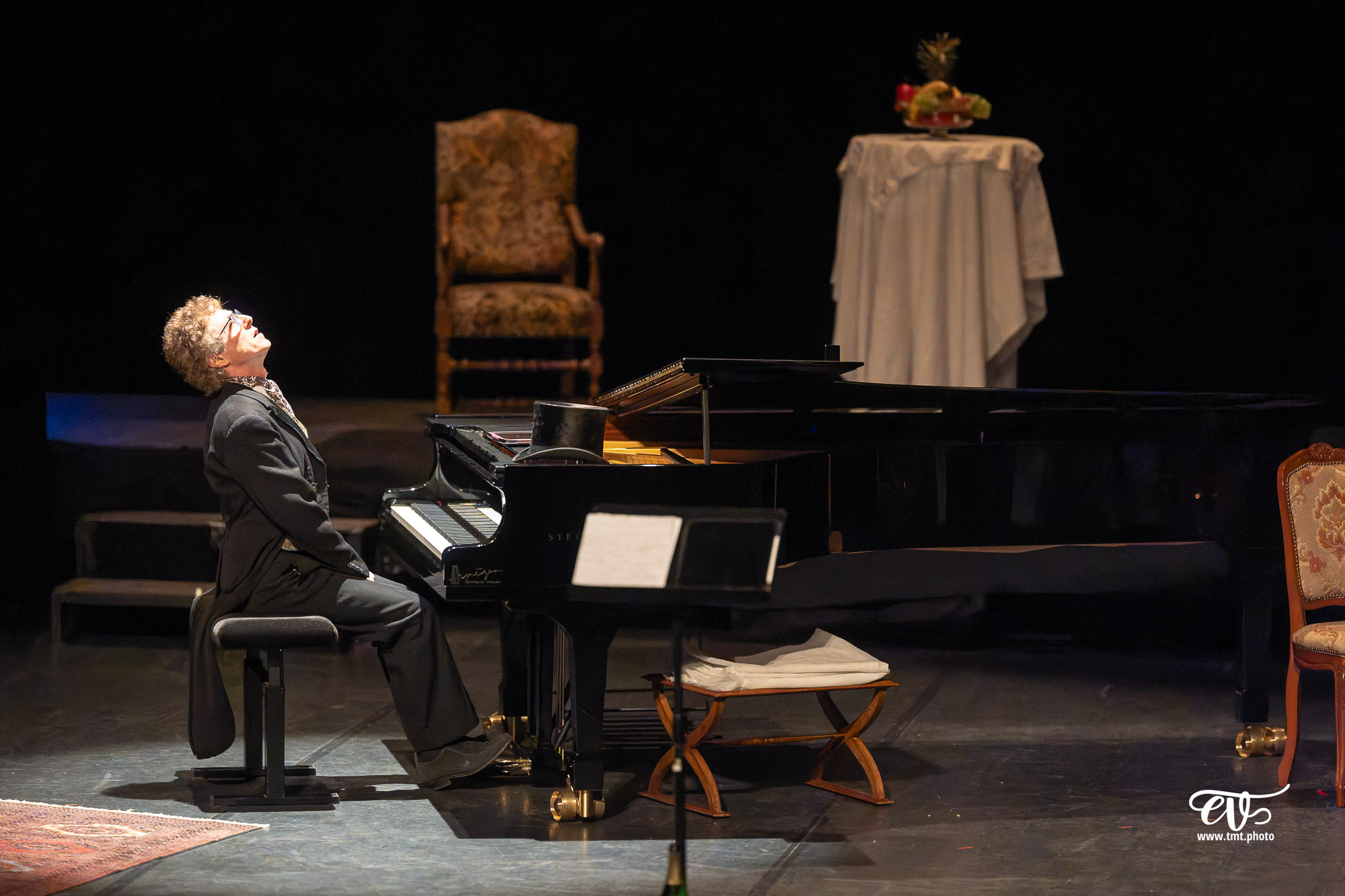 DANS LE SALON DE ROSSINI
